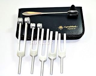 6 pcs Set of Tuning Fork C128 C 512 C256 C1024 +Reflex Percussion Taylor Hammer Penlight (CYNAMED)