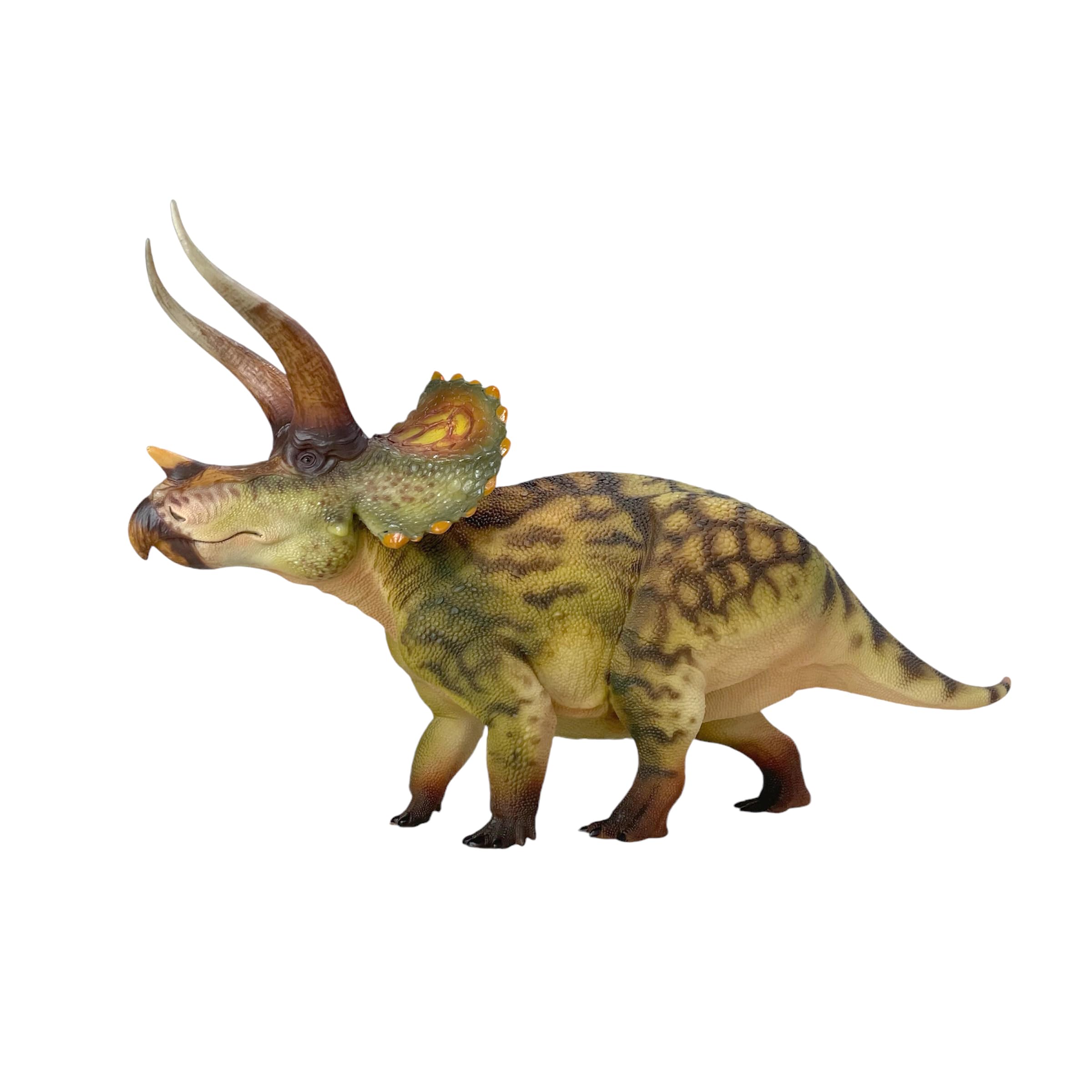 Amazon.co.jp: HAOLONGGOOD トリケラトプス 1:35 科学と芸術
