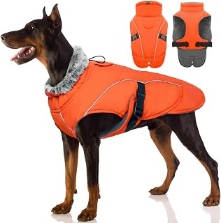 Hundemantel Winter, Wasserdicht Hundejacken Große Hunde Weste Winddicht Hundejacke Warm Fleece Hunde Winter Bekleidung Reflektierend Winterjacken für Hunde mit Leine Loch(Orange, XL)