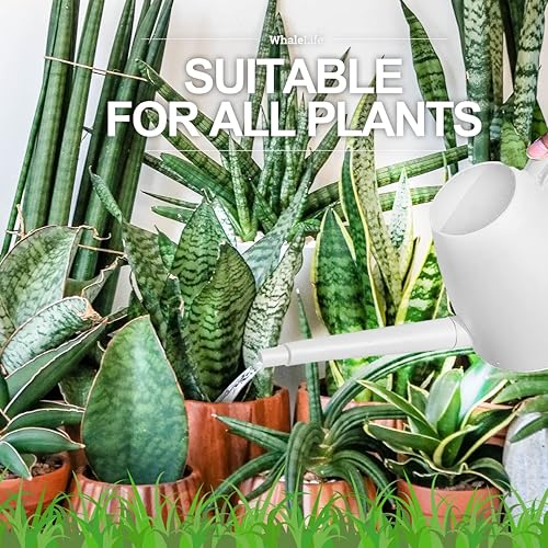 Miniatura 93 de WhaleLife Regadera interior para plantas de bonsái de casa (1.4L, verde)