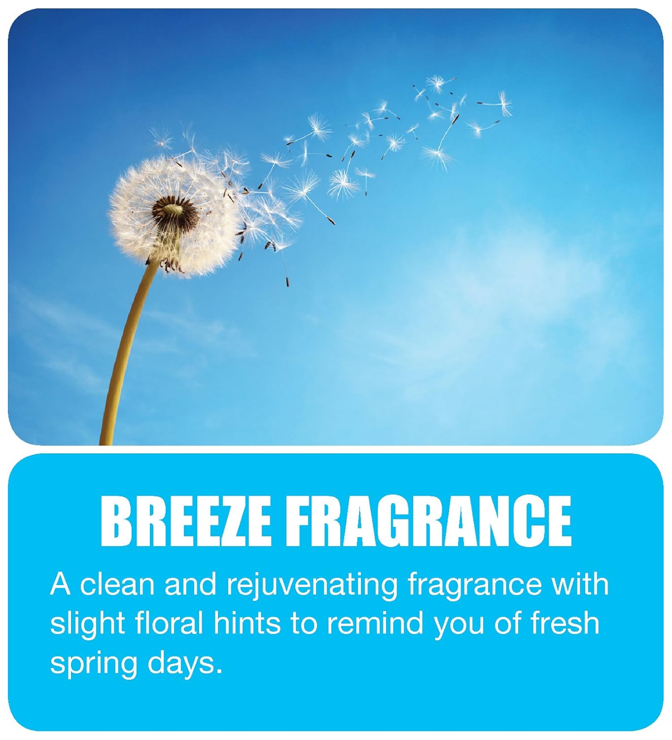 🛒 Crаzу Dеаlѕ Big D 5176 Deodorant Powder for Carpets & More, Breeze Fragrance, 50 lb Container - Ideal for use on carpet, wood, textiles and trash dumpsters