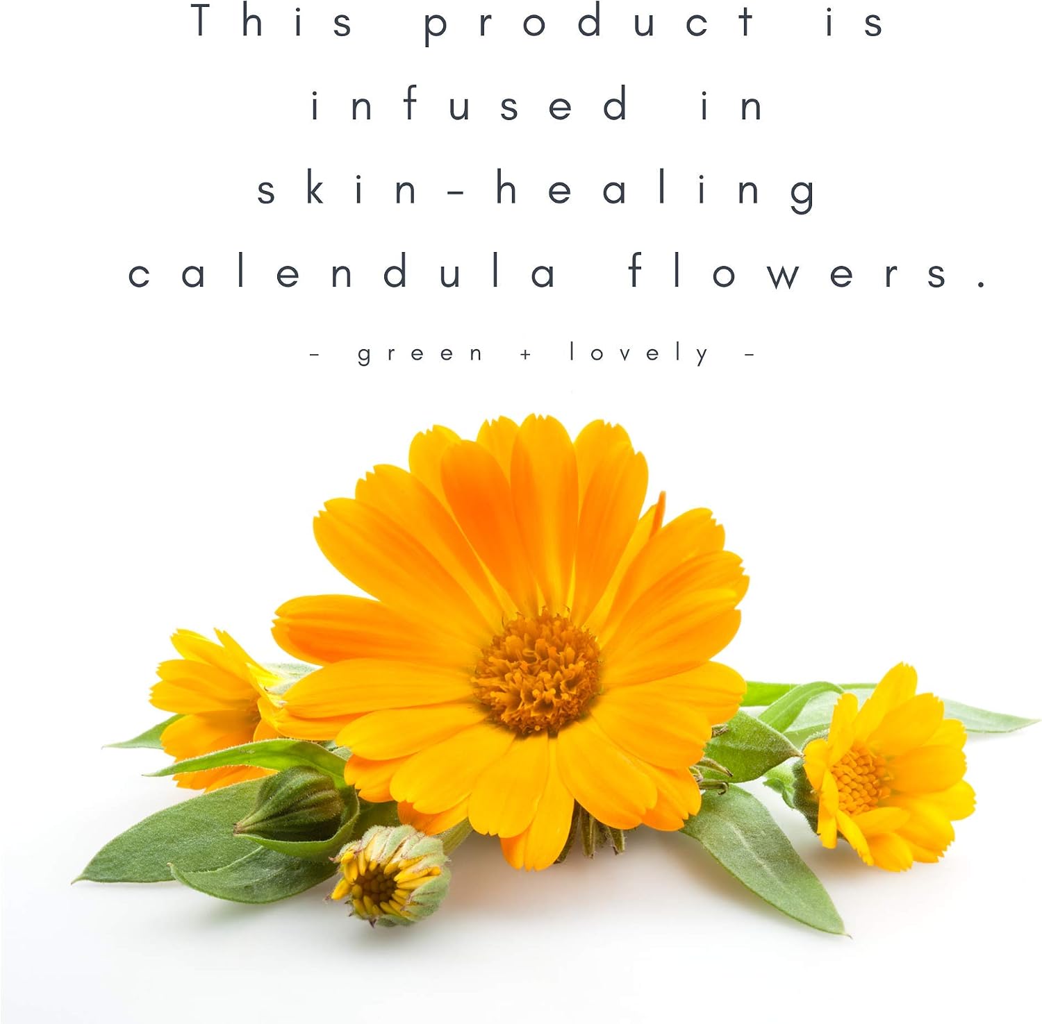 (Unscented) - Nature's Herbal Calendula Salve, Multipurpose Skin Ointment. Skin Cream. (Unscented)