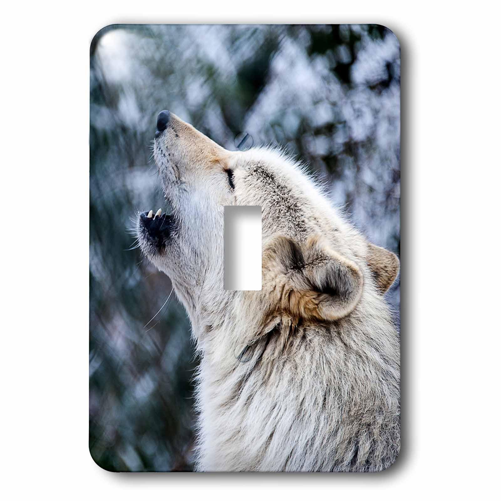 Loup gris hurlant interrupteur Rocky Mountain plaque murale decorative faune