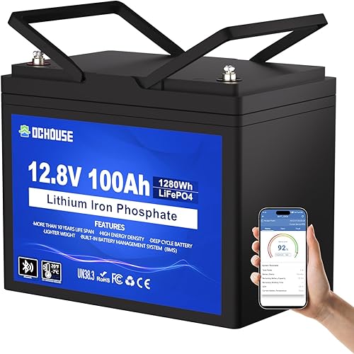 DC HOUSE Batería de litio LiFePO4 de 12 V 100 Ah, Bluetooth y corte de baja temperatura, batería de litio del grupo 31, hasta 15000 ciclos, 100 A