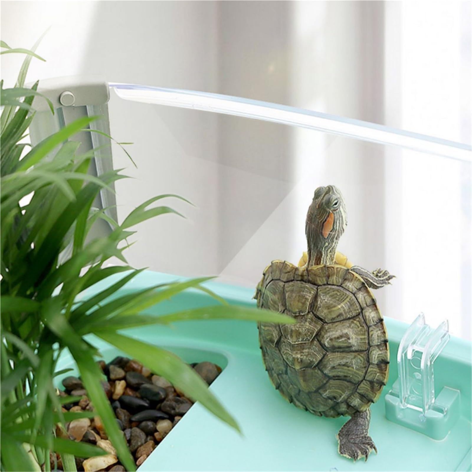 Hábitat del terrario Adorno doméstico Sencillo de Gran Apertura for Tanque Tortugas, for cría Terrario del Acuario(Grande)