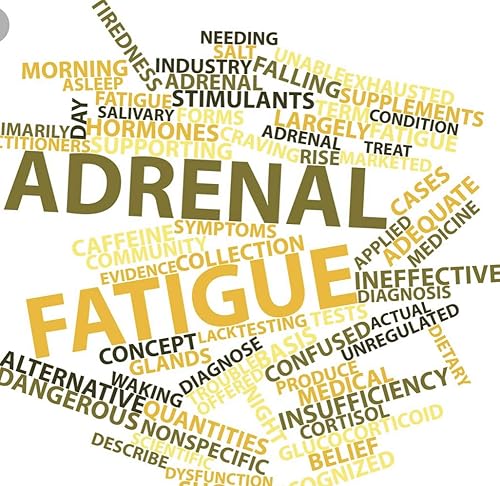 Miniatura 8 de MILAGRO ADRENAL ESSENCE DOCTOR'S CHOICE - Suplemento adratogénico de hierbas y vitaminas