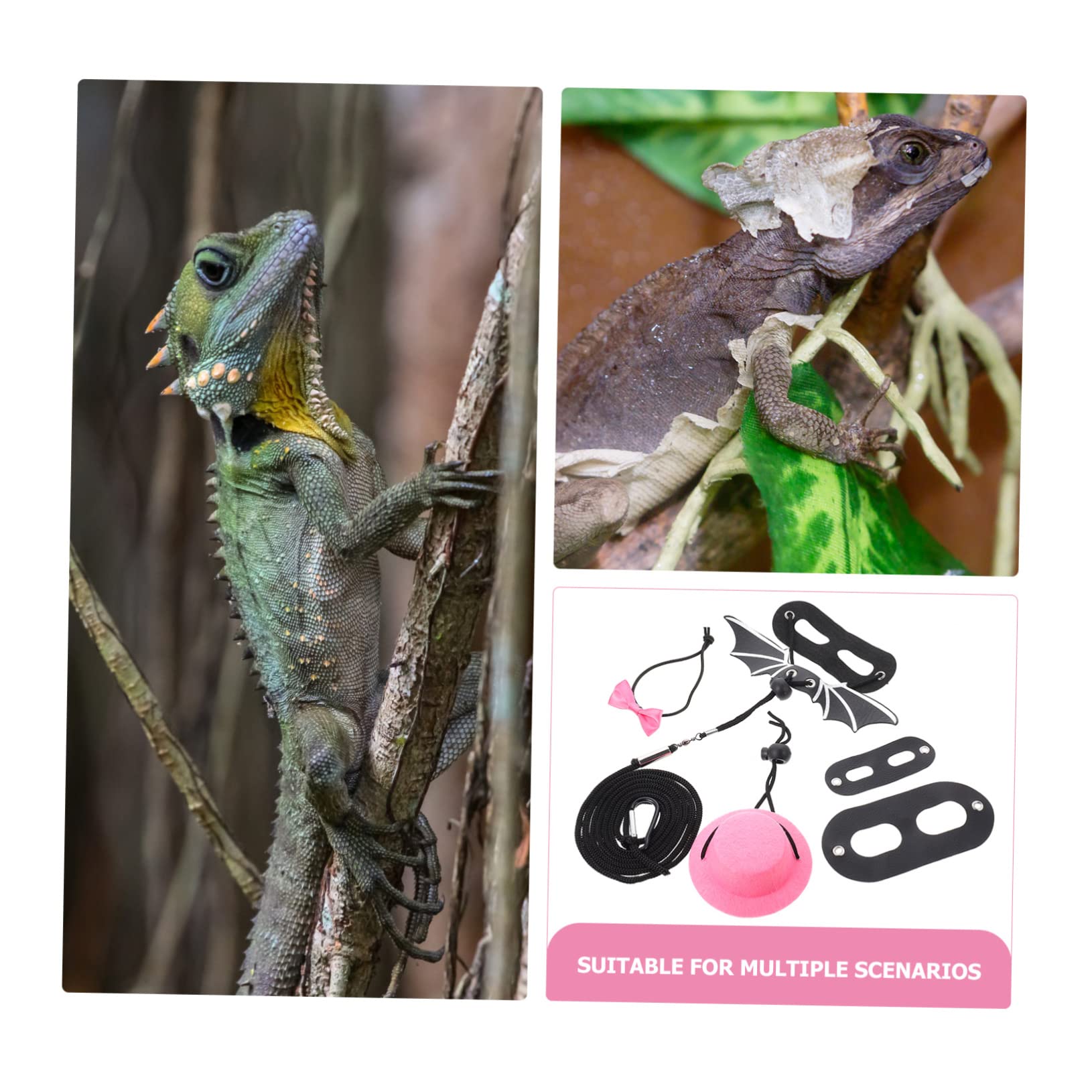 Housoutil 4juegos y Arnés Ajustable para Reptiles Sombrero De Cumpleaños Kit De para y para y Disfraces y Lazo