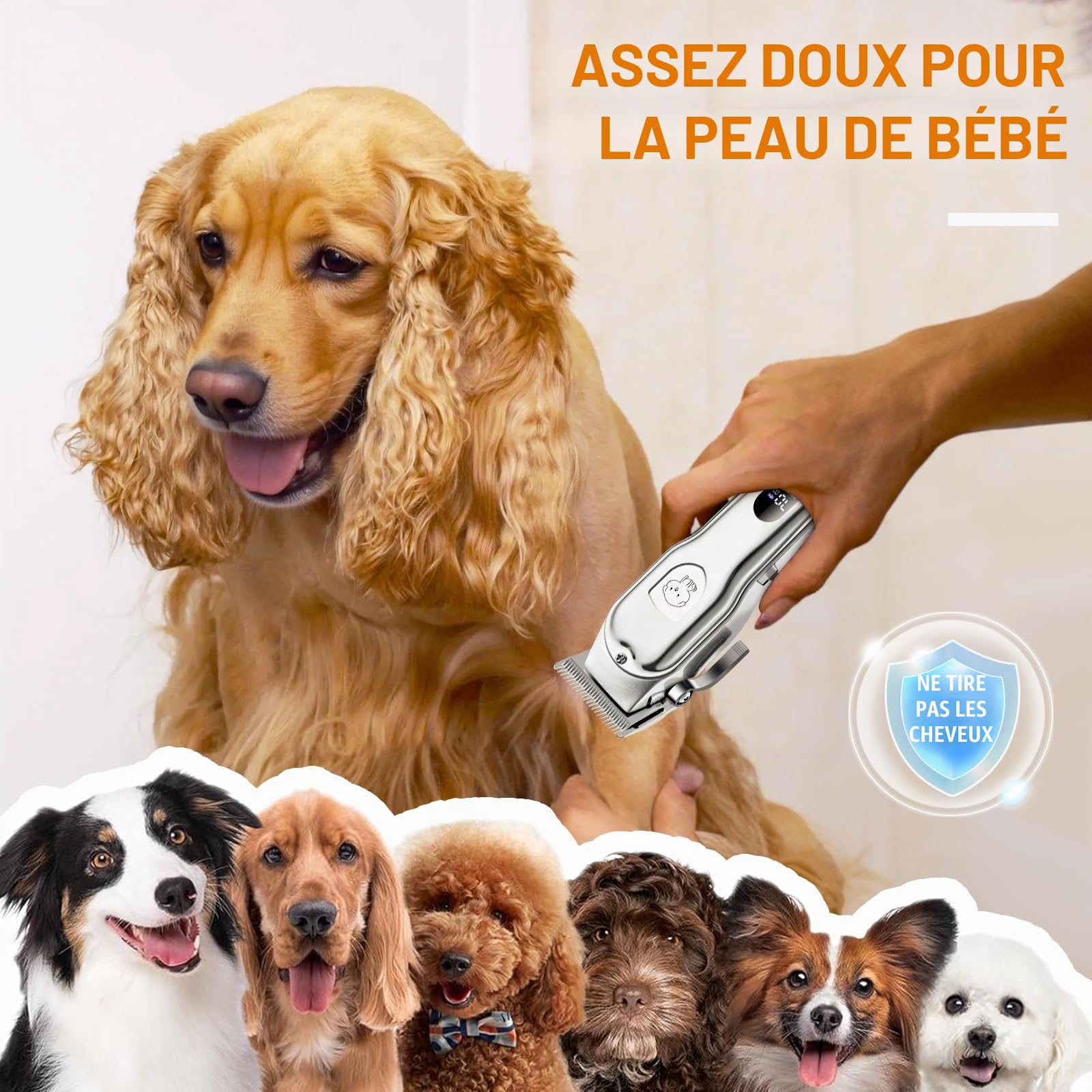 YAZEKY Tondeuse Chien Poil Long Epais, Tondeuse pour Chien Chat Professionnelle Sans Fil avec Ecran LCD, Trimmer Chat Poils Longs Noeud Haute Puissance de Toilettage pour Animaux de Compagnies