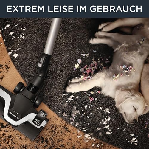 Rowenta RO7690 beutelloser Tierhaarstaubsauger