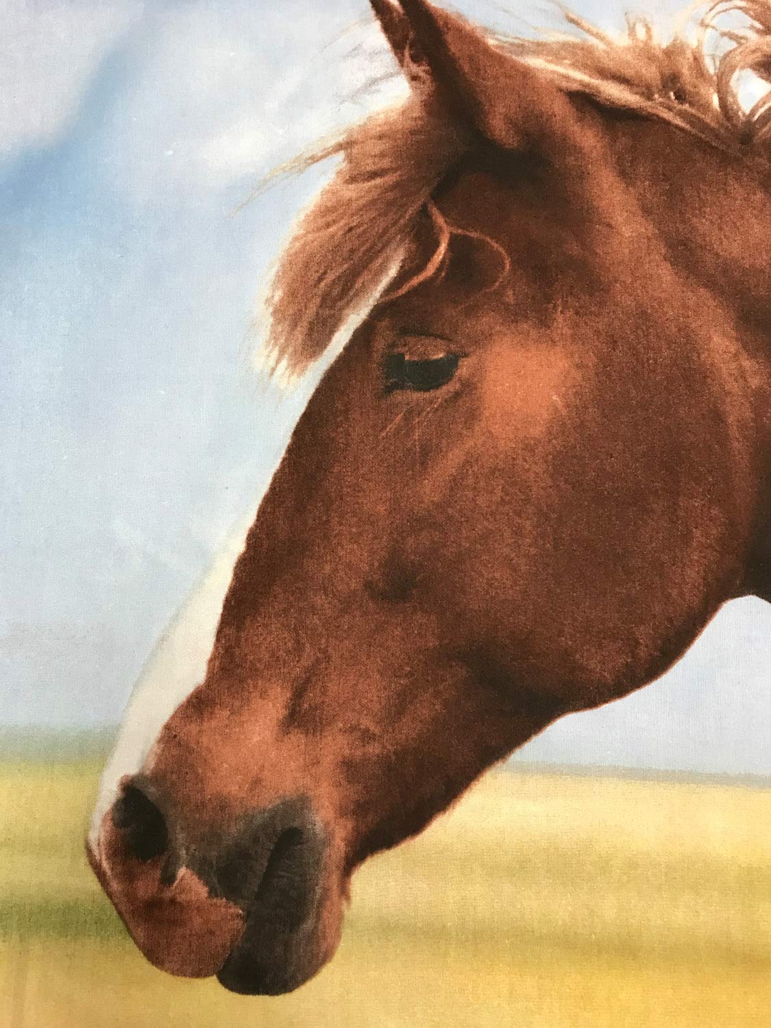 Herding Young Collection Bettwäsche-Set, Pferd Wendemotiv, Bettbezug 135 x 200 cm, Kopfkissenbezug 80 x 80 cm, Flanell/Biber