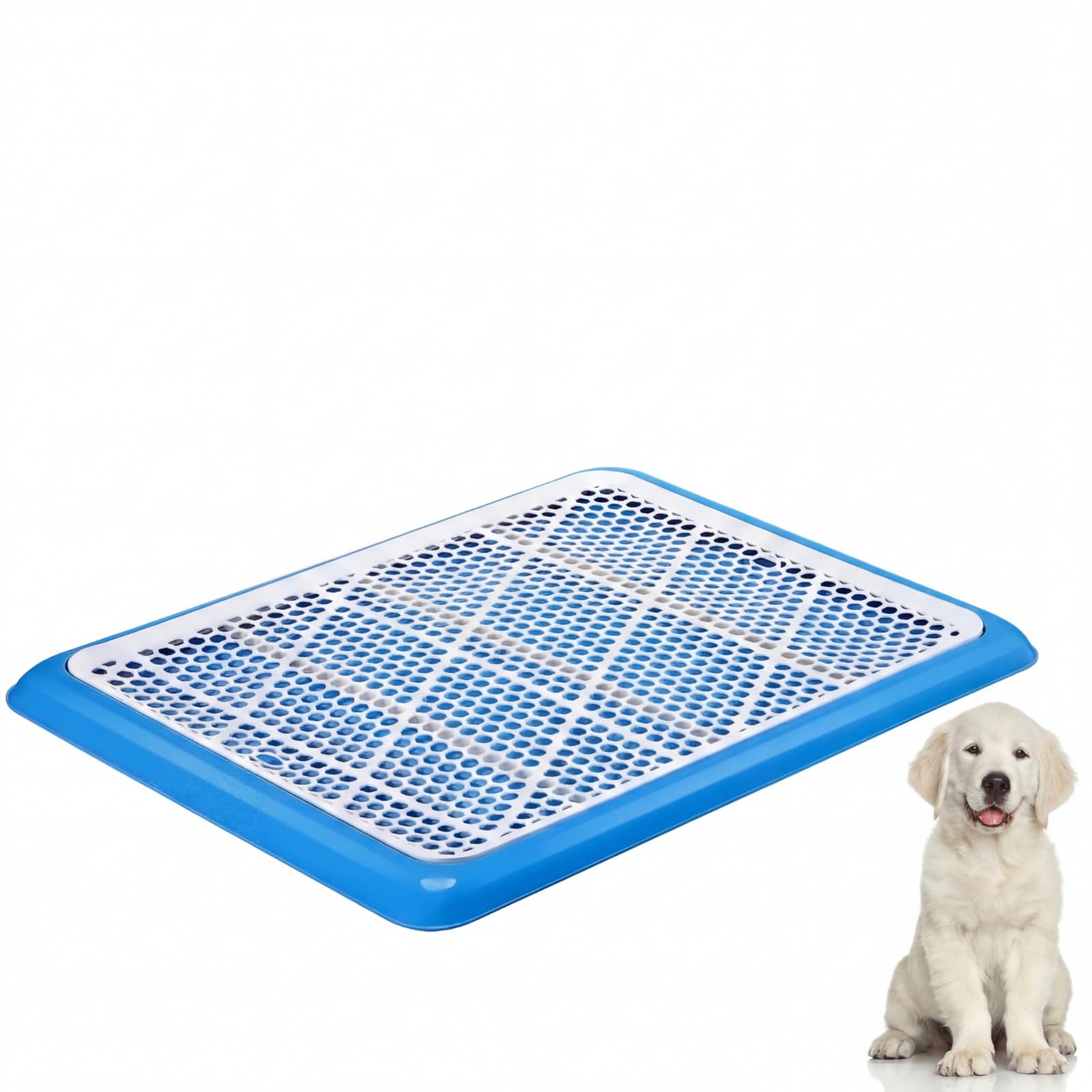 Mifoci 1 Pcs Dog Potty Tray, Mesh Puppy Training Pad, 25.6 x 18.9 Inch, Blue