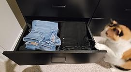 Review Image by Amzn customer Amzn customer
