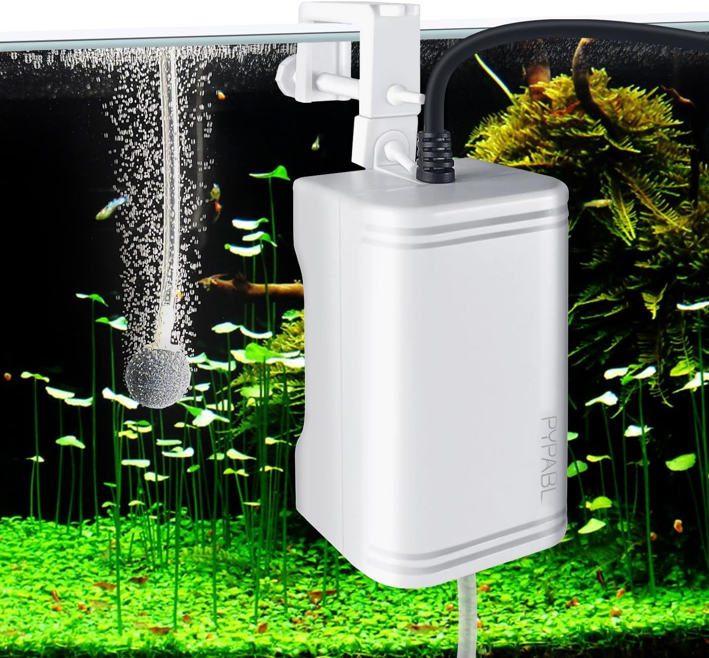 Pompe à air aquarium sans vibration pour bocal poisson combattant