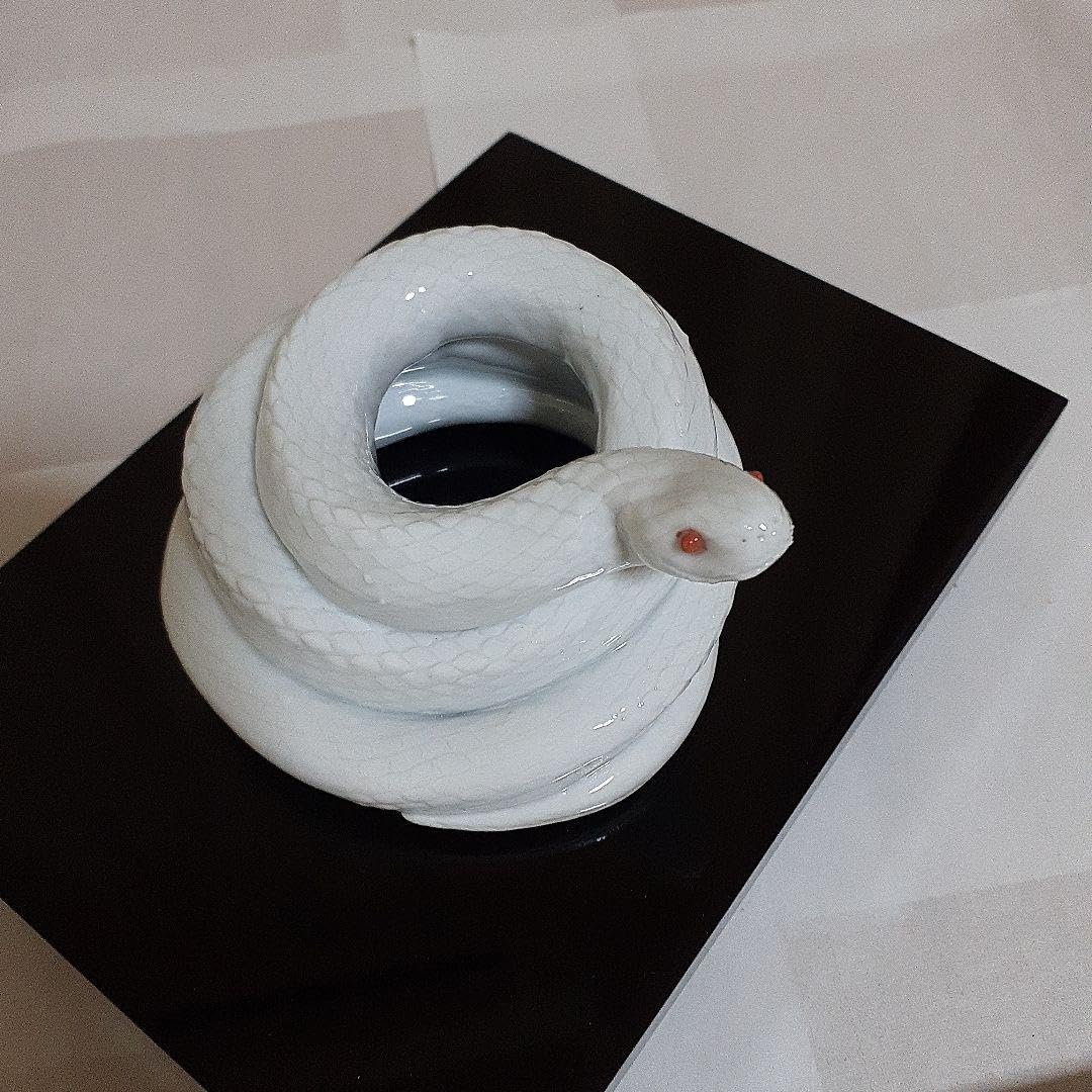 Amazon.co.jp: 金運財運 白蛇 白ヘビ とぐろ巻き 守り神 : おもちゃ