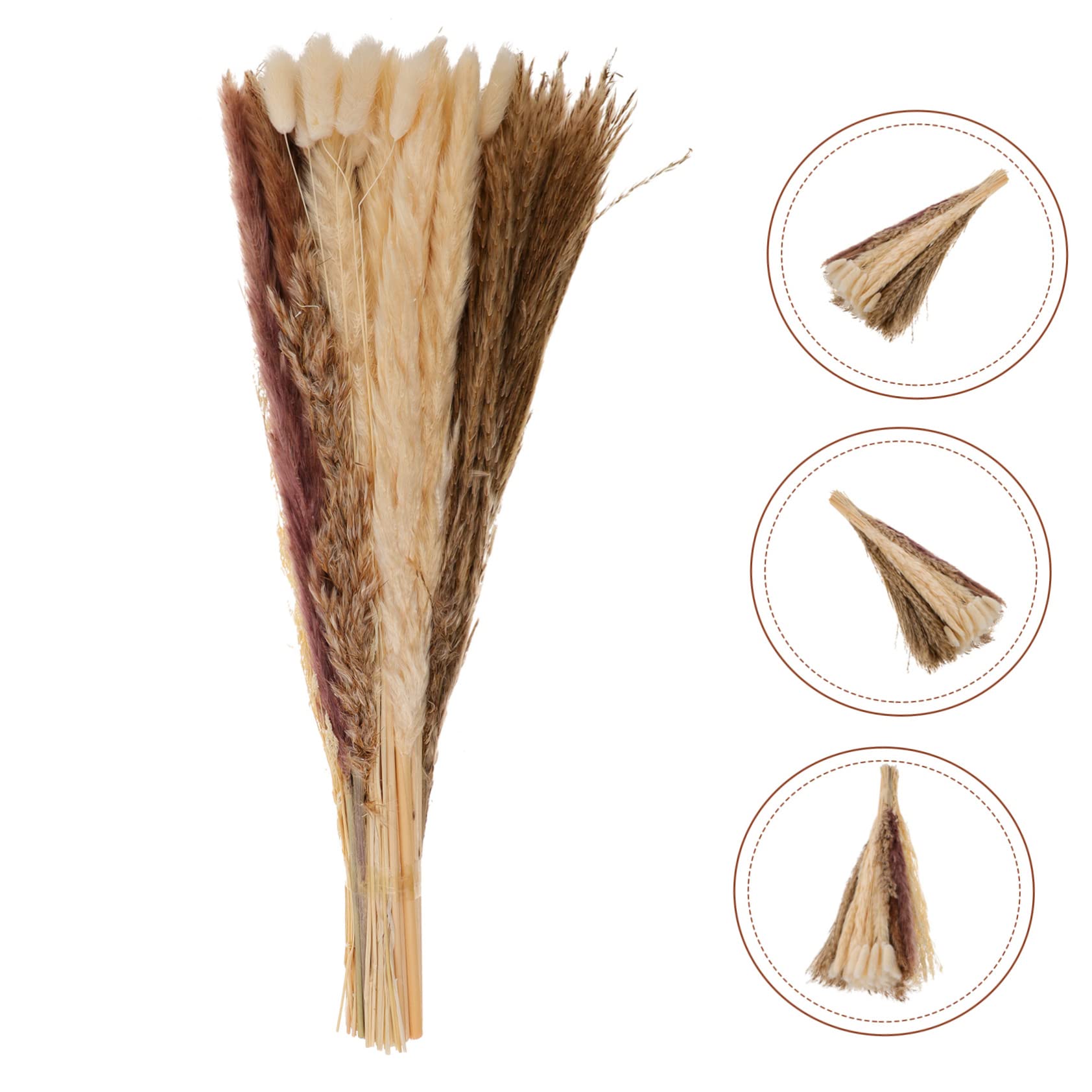 Zerodeko 2ensembles Pampas Séchées Artificielles De Tiges De Fleurs Décoratives pour Décoration DIY Ambiance pour Mariages Et Événements pour Maison Et Bureau