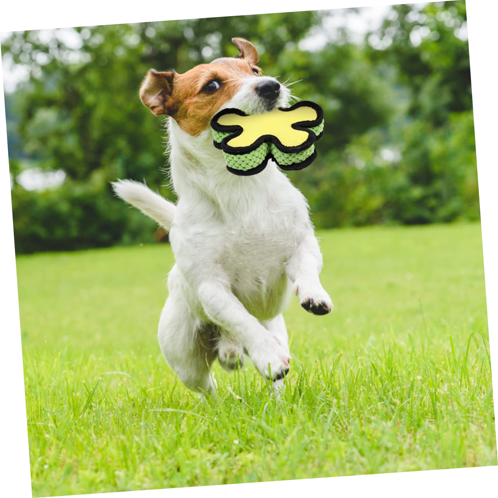 SUPVOX 3piezas Juguete De Molar para Perros Pelota De Sonido Interactiva para Cachorros para Jugar Casa y Mantener La Salud