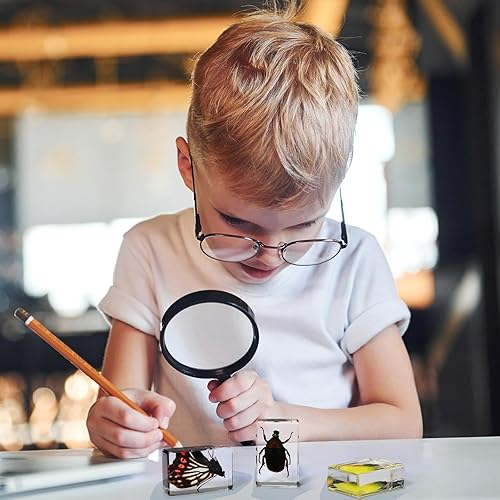 Vista 34 de 12 piezas de insectos en resina colección de insectos de resina de arácnidos, pisapapapeles de diferentes insectos para niños, juguete educativo