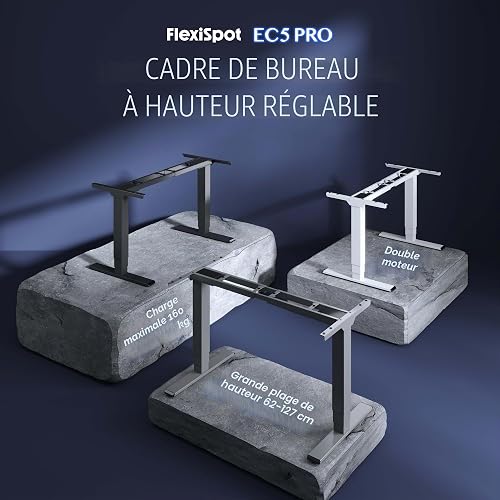 FlexiSpot Bureau Assis Debout Électrique 2 Moteurs, Charge 160kg, 3 Colonnes, Rappel de Sédentarité, Système Anti-collision, Panneau Mémoire, Cadre en Acier, Noir - 2