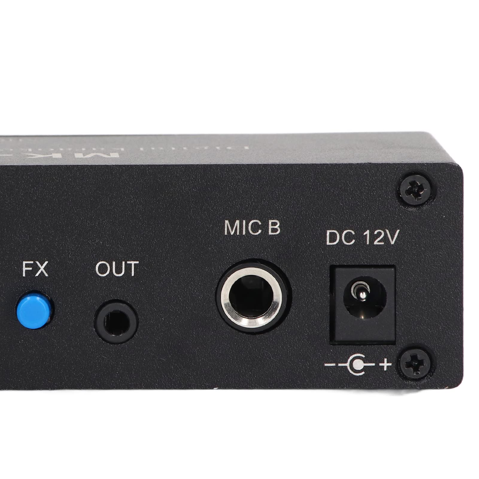 Amplificatore stereo con riverbero digitale Ingresso microfono Bluetooth 5.0 audio domestico DC 12V