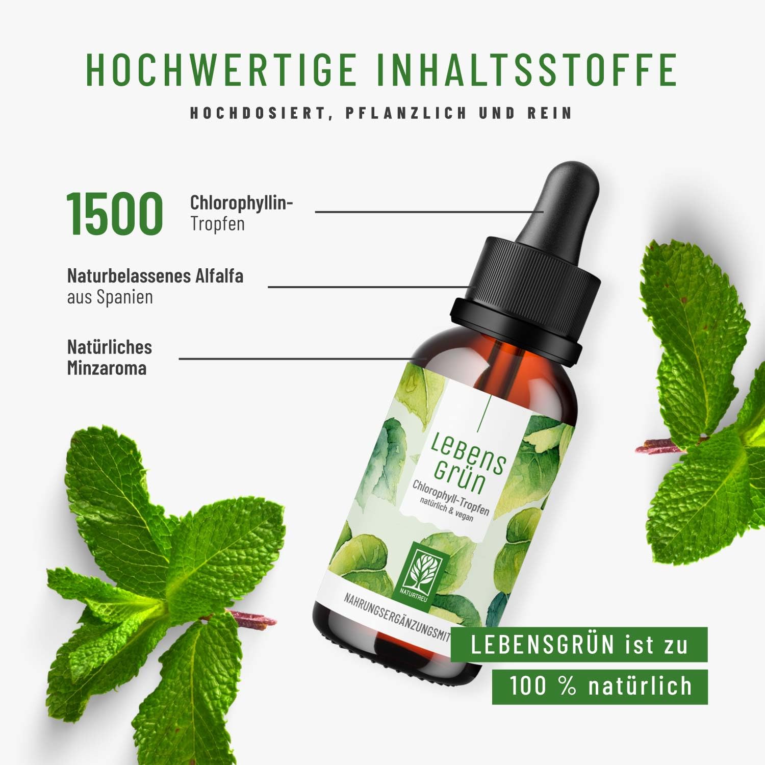 Lebensgrün Chlorophyll flüssig aus Alfalfa - 50ml - 200mg liquid Chlorophyll je Tagesdosis - Tropfen als Alternative zu Tabletten, Vegan