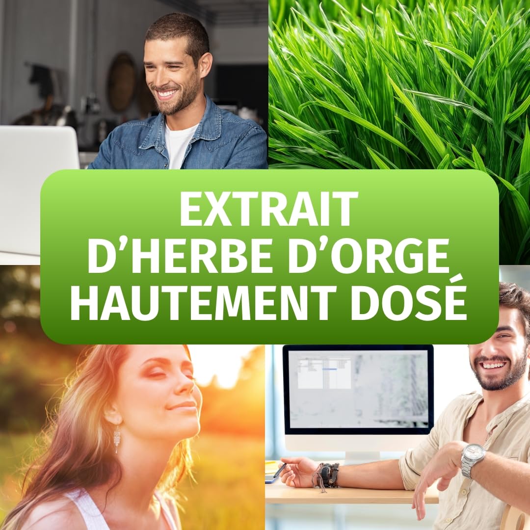 Herbe d'orge gélules naturelles et pures - Dosage élevé: 3.000 mg avec extrait 10:1-365 capsules (3 mois) - Qualité premium d'Allemagne - Végan et testé en laboratoire - Green Naturals®