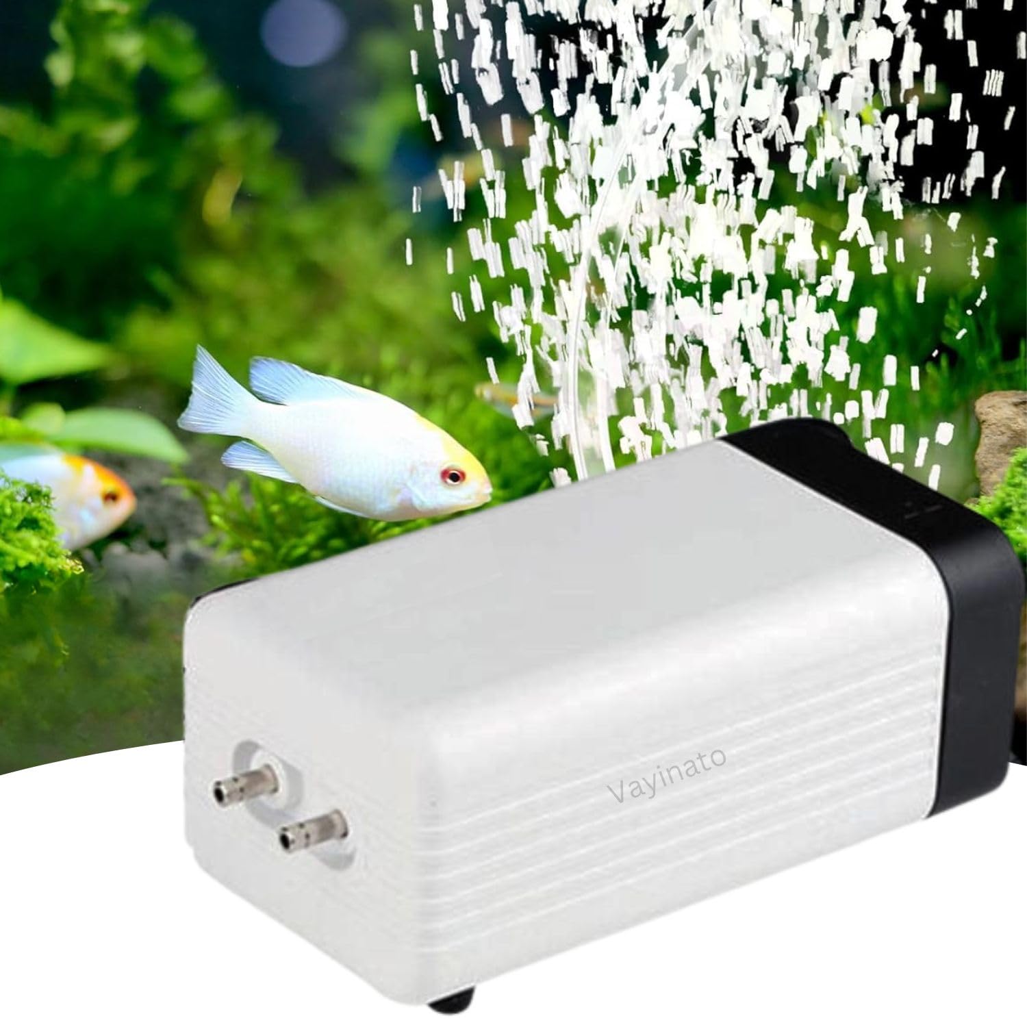 VAYINATO® CT-202 Two Way Air Volume Adjustable Aquarium Oxygen Air Pump | Low Noise Operation (Pump Only) by Petzlifeworld (B0CX53Q2L5) Amazon Price History, Amazon Price Tracker