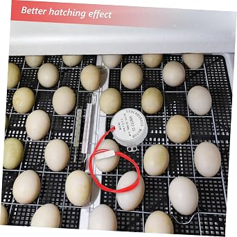 110v Synchronous Motor for Egg Incubator Efficient Egg Turner Motor for Hatching Birds Easy Installation for Home Incubators