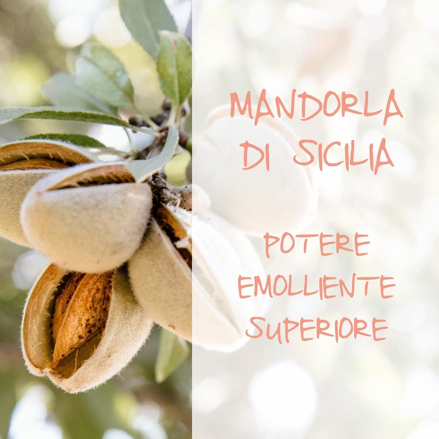 Bagno Seta Erboristico Olio di Mandorla di Sicilia, Bagnoschiuma Ottimo per Pelli Delicate, Secche e Stressate, Azione Idratante, Dona Luminosità ed Elasticità, (2 FLACONI DA 400 ml)