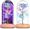 NewX Gifts for Mom Her Mothers Day Rose Women Birthday Gifts Mothers Day Anniversary from Daughter Son Glass Led Rose Light Forever Rose Colorful Rainbow Artificial Rose Flower Gift in A Glass Dome