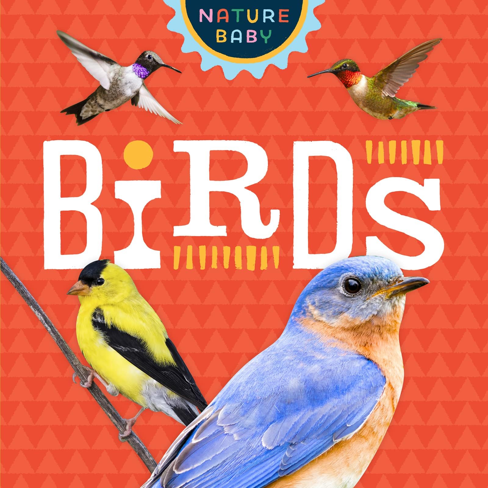 Nature Baby: Backyard Birds