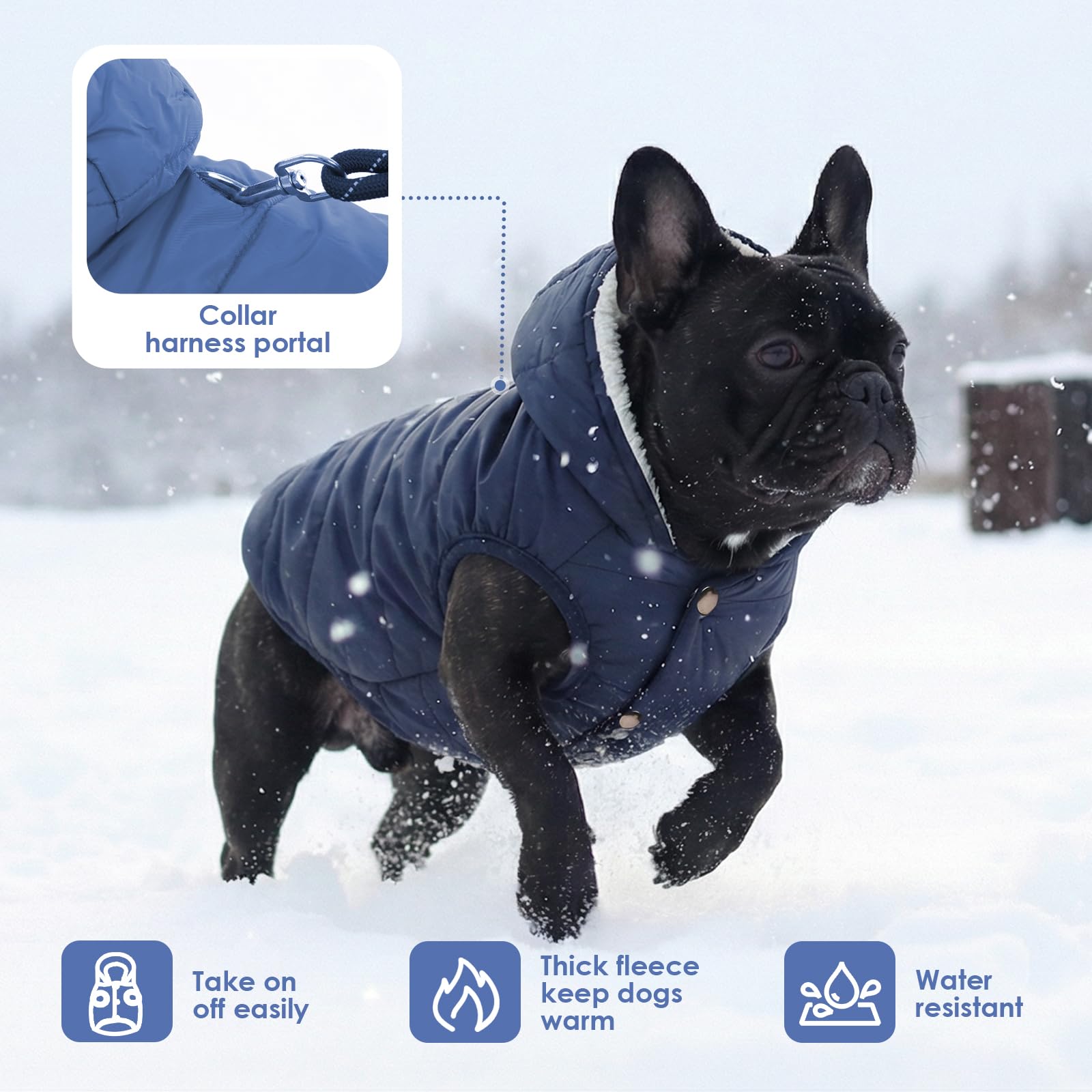 SAWMONG - Abrigo de forro polar para perro, resistente al viento, impermeable, forro polar y algodón, para perros de clima frío, ropa para mascotas de razas pequeñas y medianas y grandes