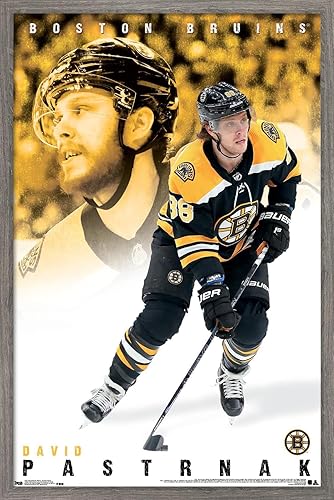 Miniatura 11 de Trends International NHL Boston Bruins - Póster de pared de David Pastrnák 19, 14.725 x 22.375 pulgadas, versión enmarcada en negro