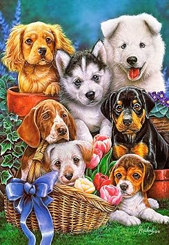 Castorland CSC104048 Puzzle, Various