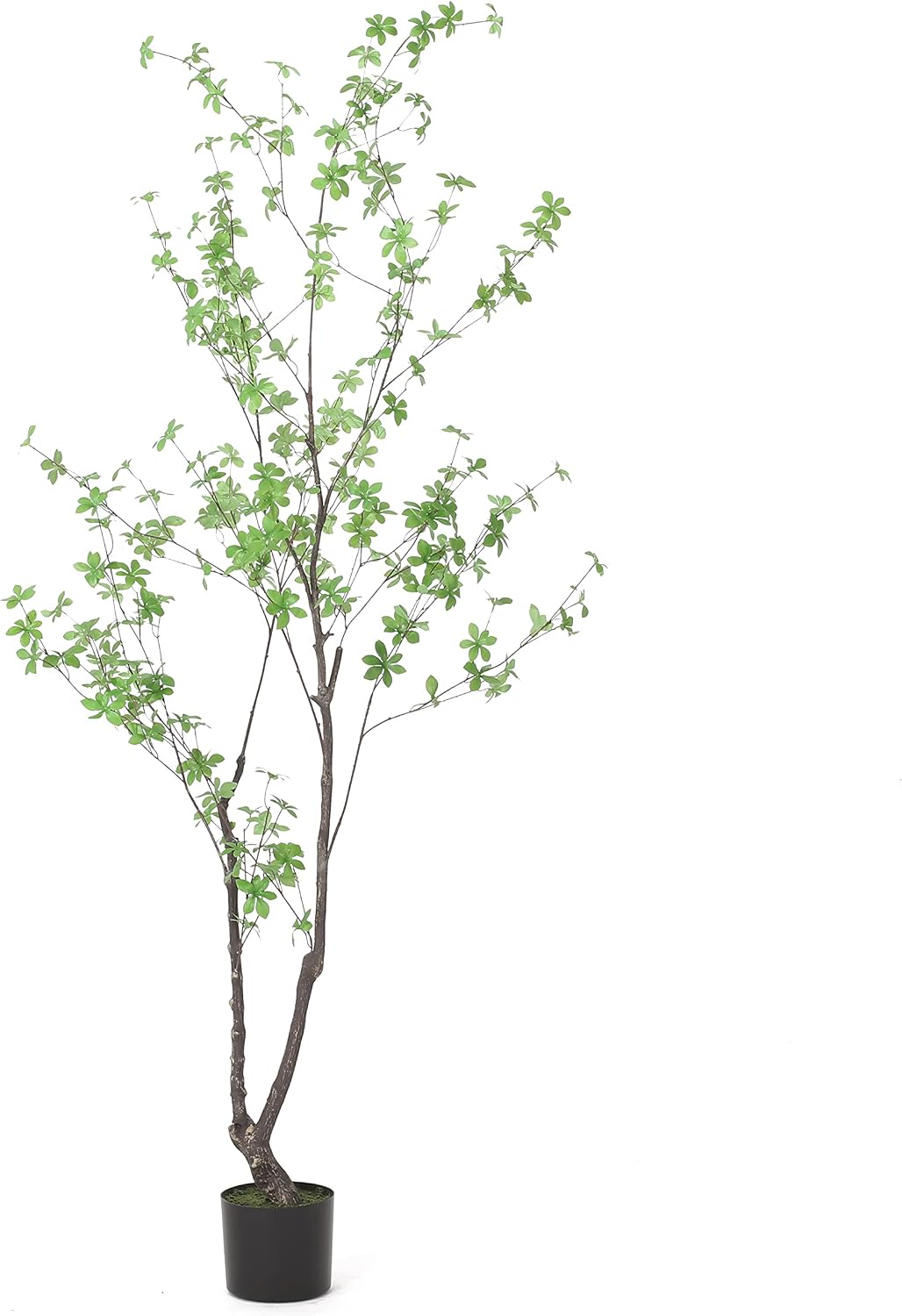 Christopher Knight Home Bowrun 6' x 3' Artificial Enkianthus Tree - Silk - Green