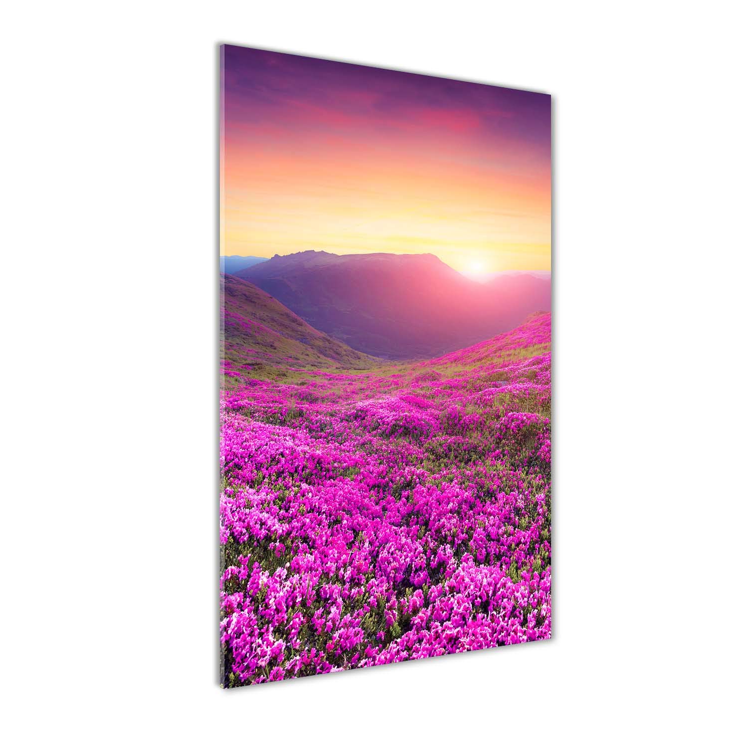 Image tableau photo panoramique aux couleurs éclatantes de rhododendron rose 60x120