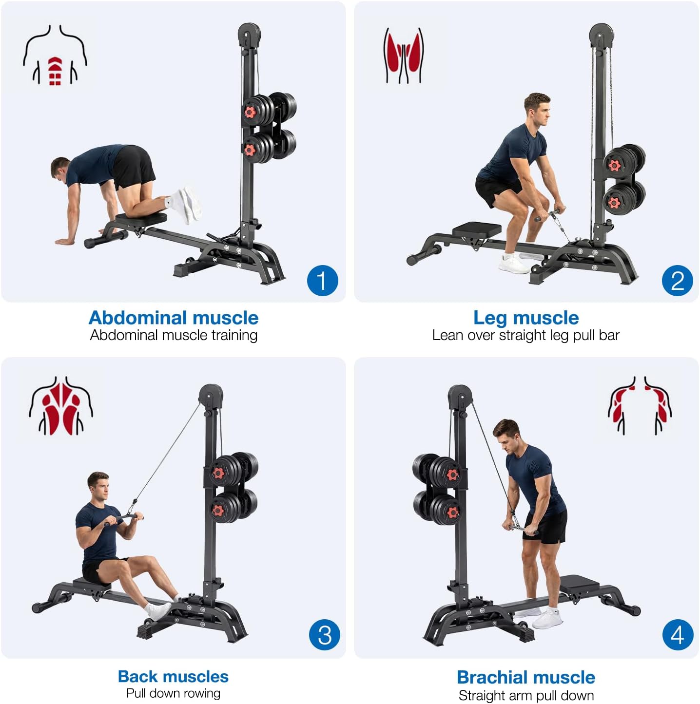 Foldable Rowing Machine with Dumbbell Weight System - Adjustable Resistance Home Gym for Full Body Workout, Strength & Cardio Training with Pull Down Bar (Dumbbells Not Included)