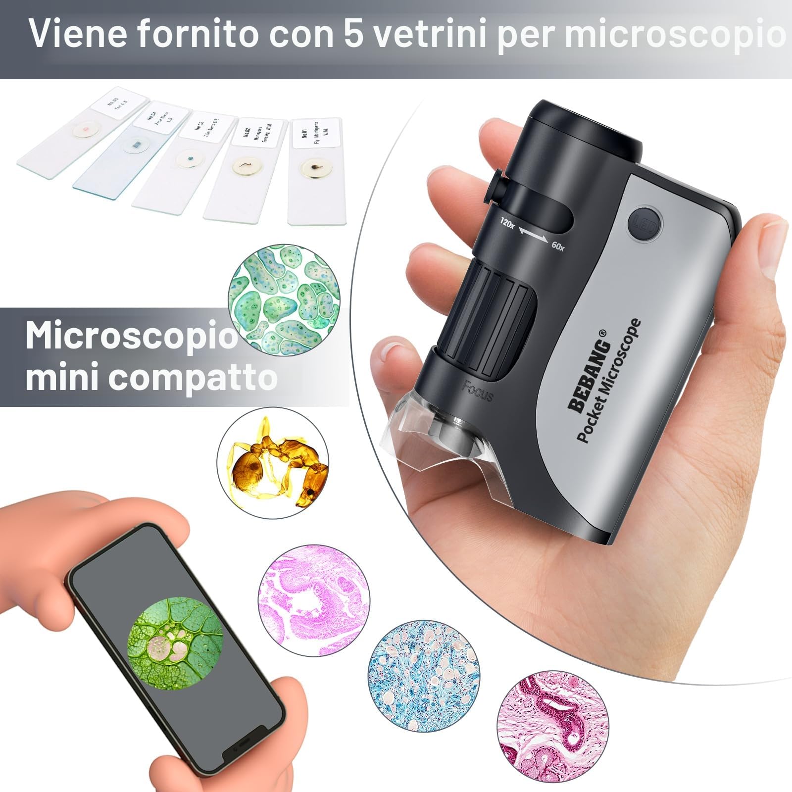 Microscopio tascabile per bambini, mini microscopio Ottico con zoom illuminato a LED, 5 vetrini preparati, Plus-microscopio biologico portatile per studenti, osservazione microbiologica (Nero)