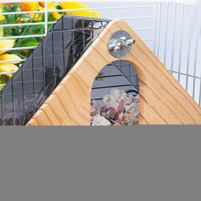 Foto 3 de 8 de Caja para Pájaros - Caja De Cría De Madera Natural Transparente Y Fácil De
