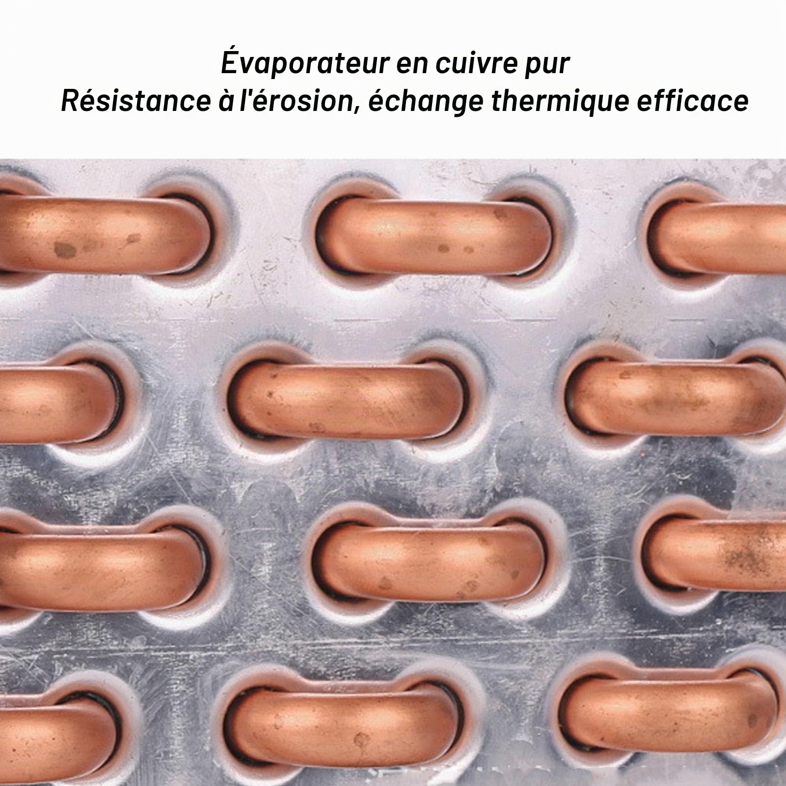 Bewinner Refroidisseur d'eau pour Aquarium avec Écran Tactile et Télécommande - 42 Gal, 1/10 HP, Faible Bruit, Système de Refroidissement pour Poissons