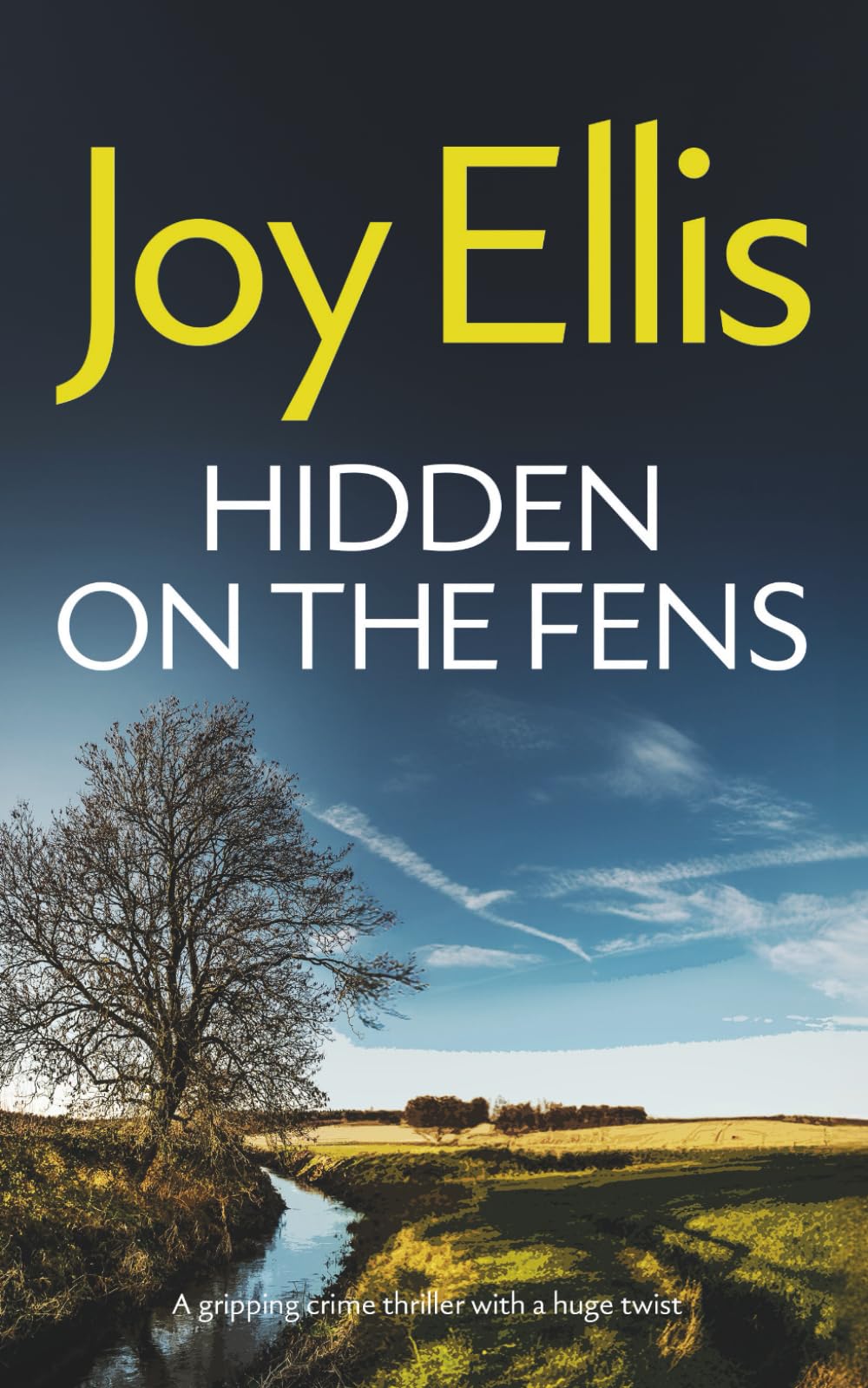 HIDDEN ON THE FENS a gripping crime thriller with a huge twist (Detective Nikki Galena Mysteries)