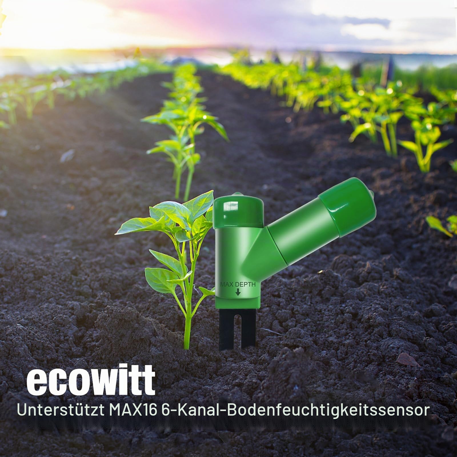ECOWITT Kabelloser Bodenfeuchtesensor WH51 – Pflanzenwassermonitor, Bodenhygrometer-Tester mit E-Mail-Benachrichtigung, nur Zubeh?rsensor Ecowitt Ecosystem