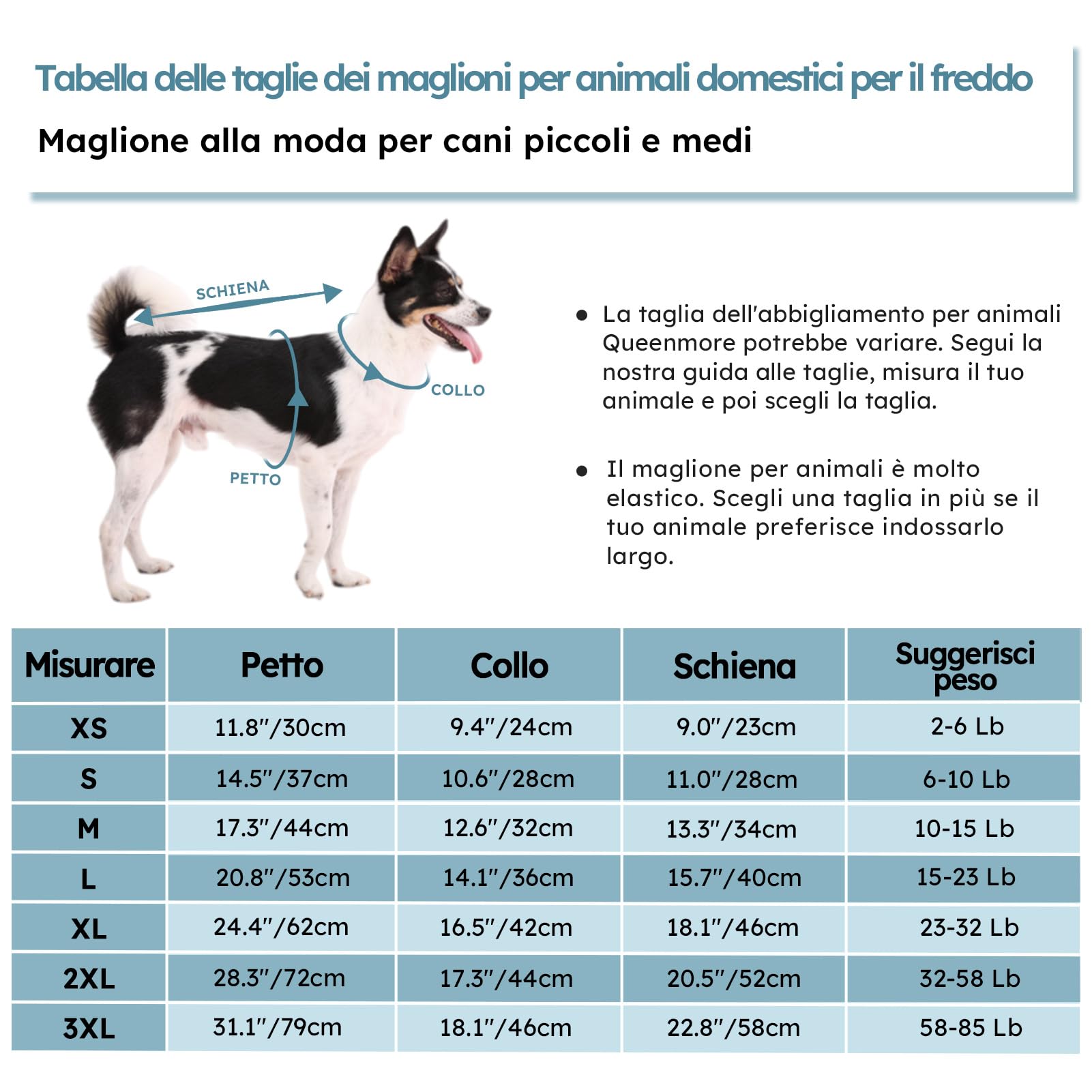 Queenmore Felpa Cane Taglia Media Maglione Cane Bassotto Maglioncino Cane Caldo A Collo Alto Ritorto Vestiti Per Cani Gatti Maglione Elastico Per Bulldog Francese Barboncino Chihuahua, Teal, M
