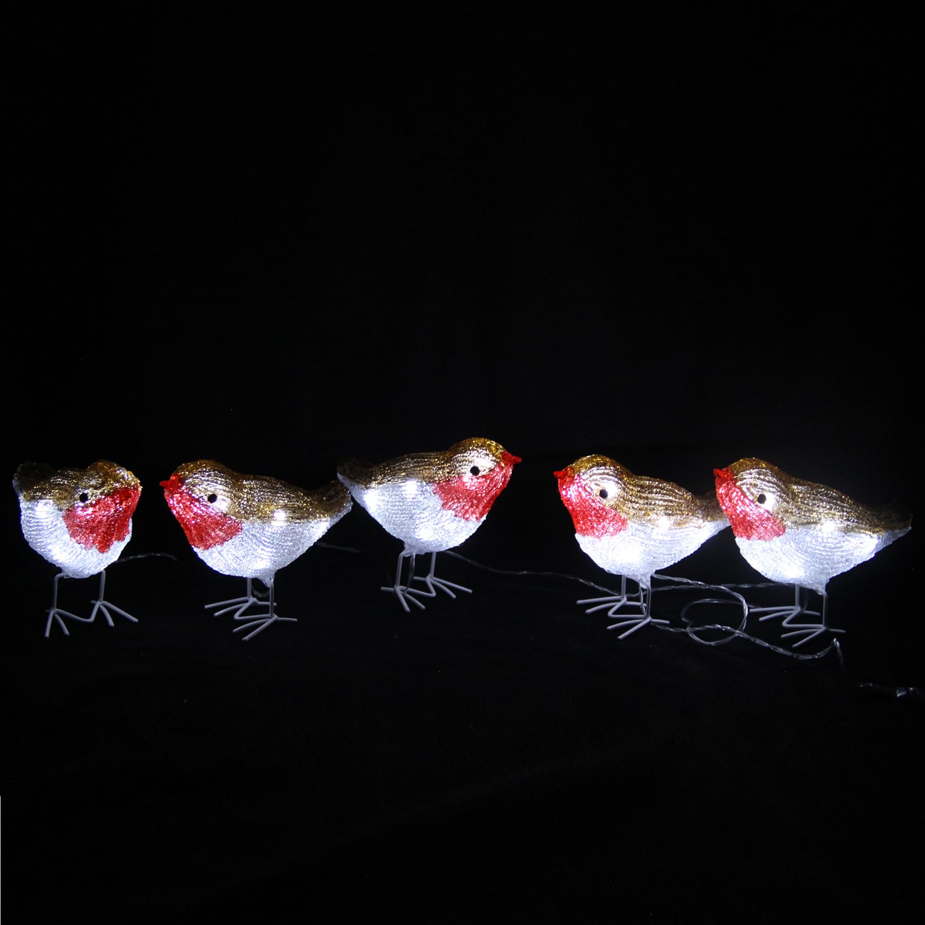 Set of 5 Acrylic Christmas Robin Lights with 40 White LED's