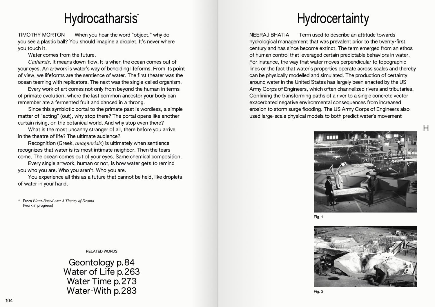 100 Words for Water /anglais: A Projective Ecosocial Vocabulary