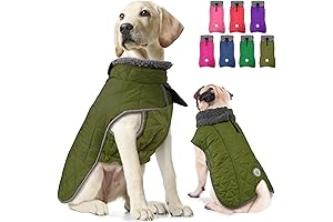 Fragralley Waterproof Dog Coat: Ultimate Protection for Your Canine Companion
