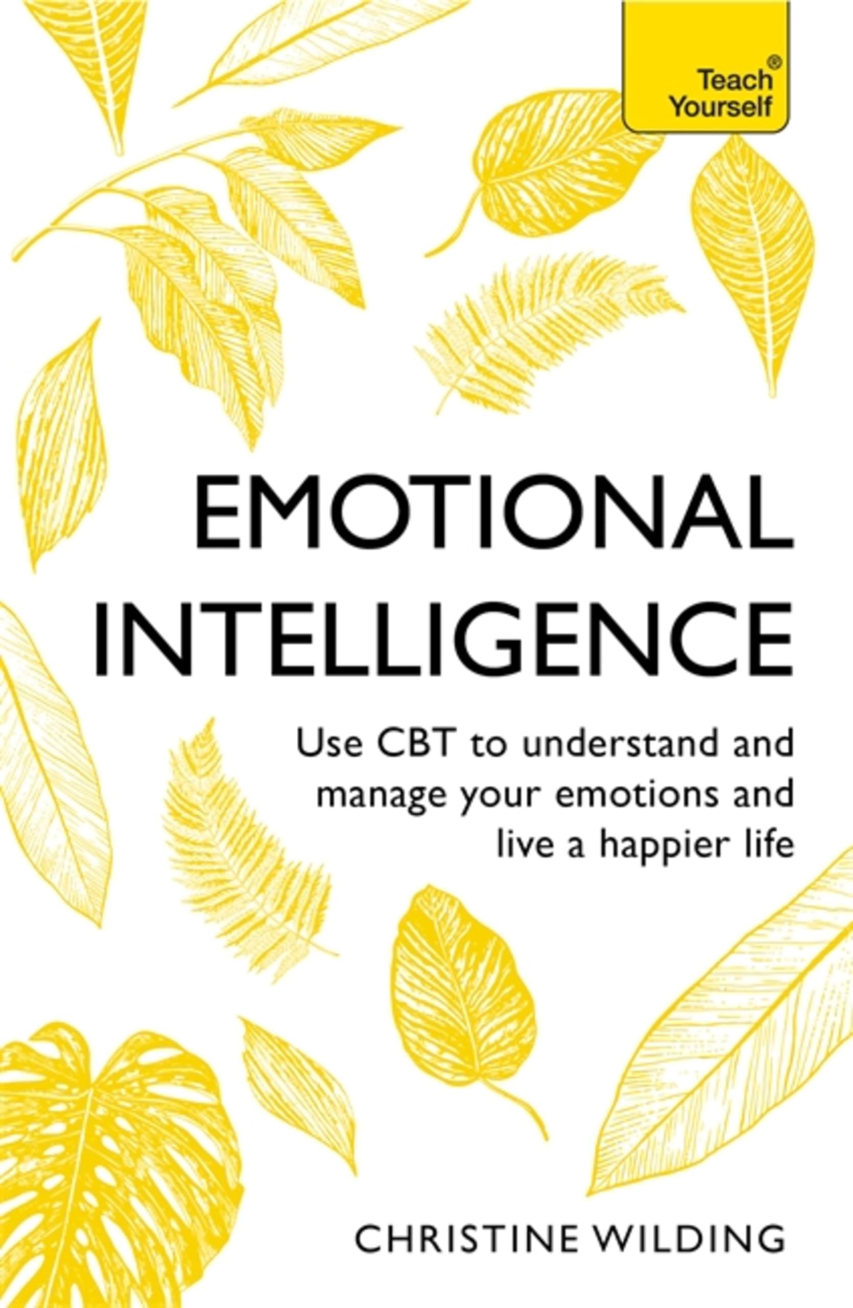 Emotional Intelligence: Communicate Better, Achieve More, Be Happier (Teach Yourself)