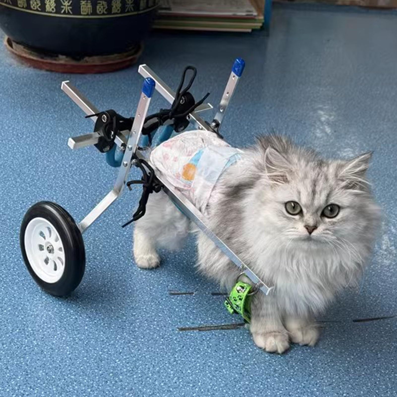 Carrello Per Cani Disabili - XXS/XS/S, 4 Ruote, Regolabile, Per Zampe Posteriori, Leggero E Portatile - Foto 5