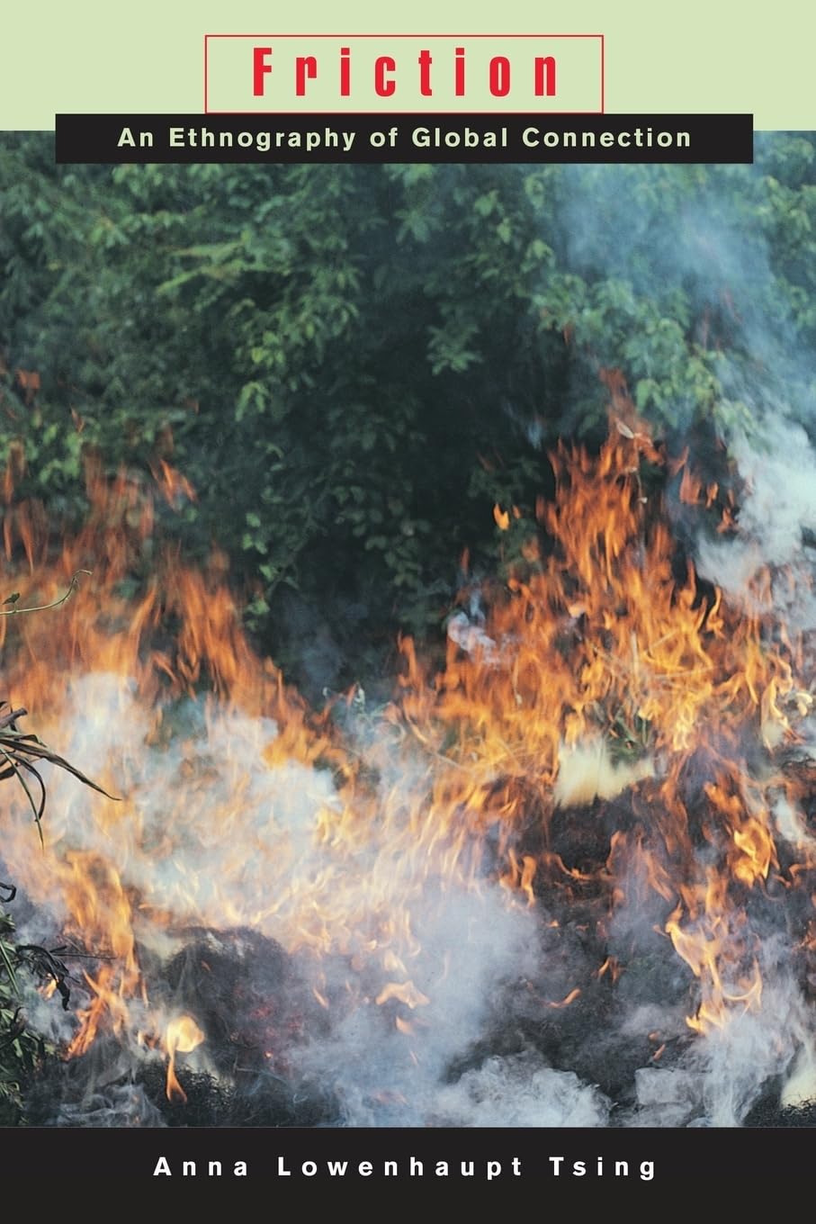 Friction: An Ethnography of Global Connection Paperback – January 1, 2005