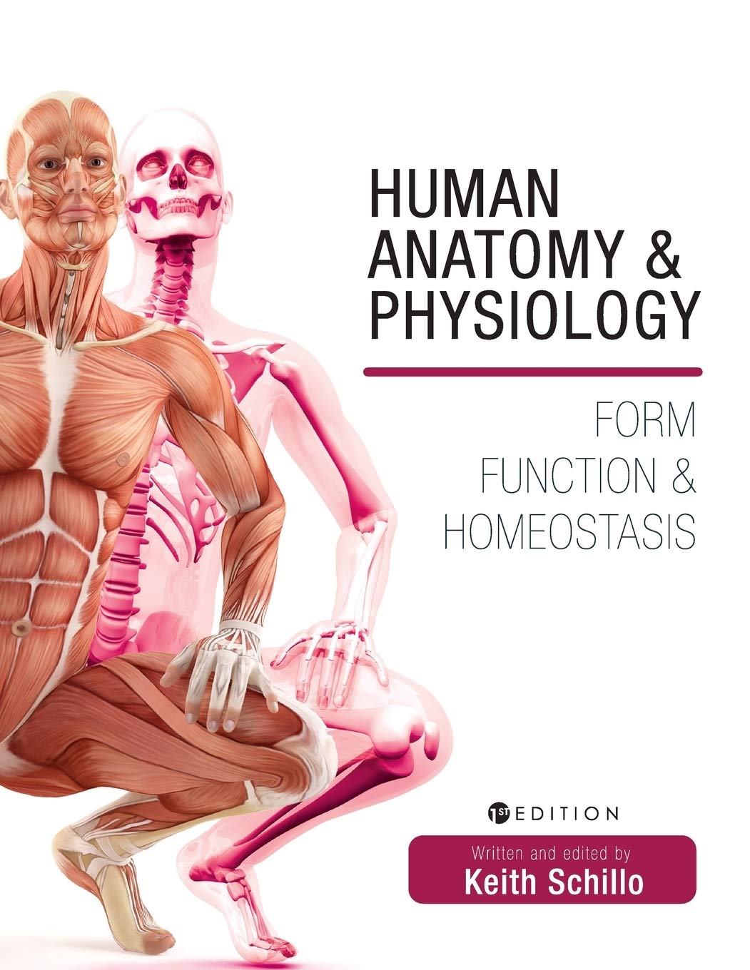 Buy Human Anatomy and Physiology: Form, Function, and Homeostasis — BookShops.in