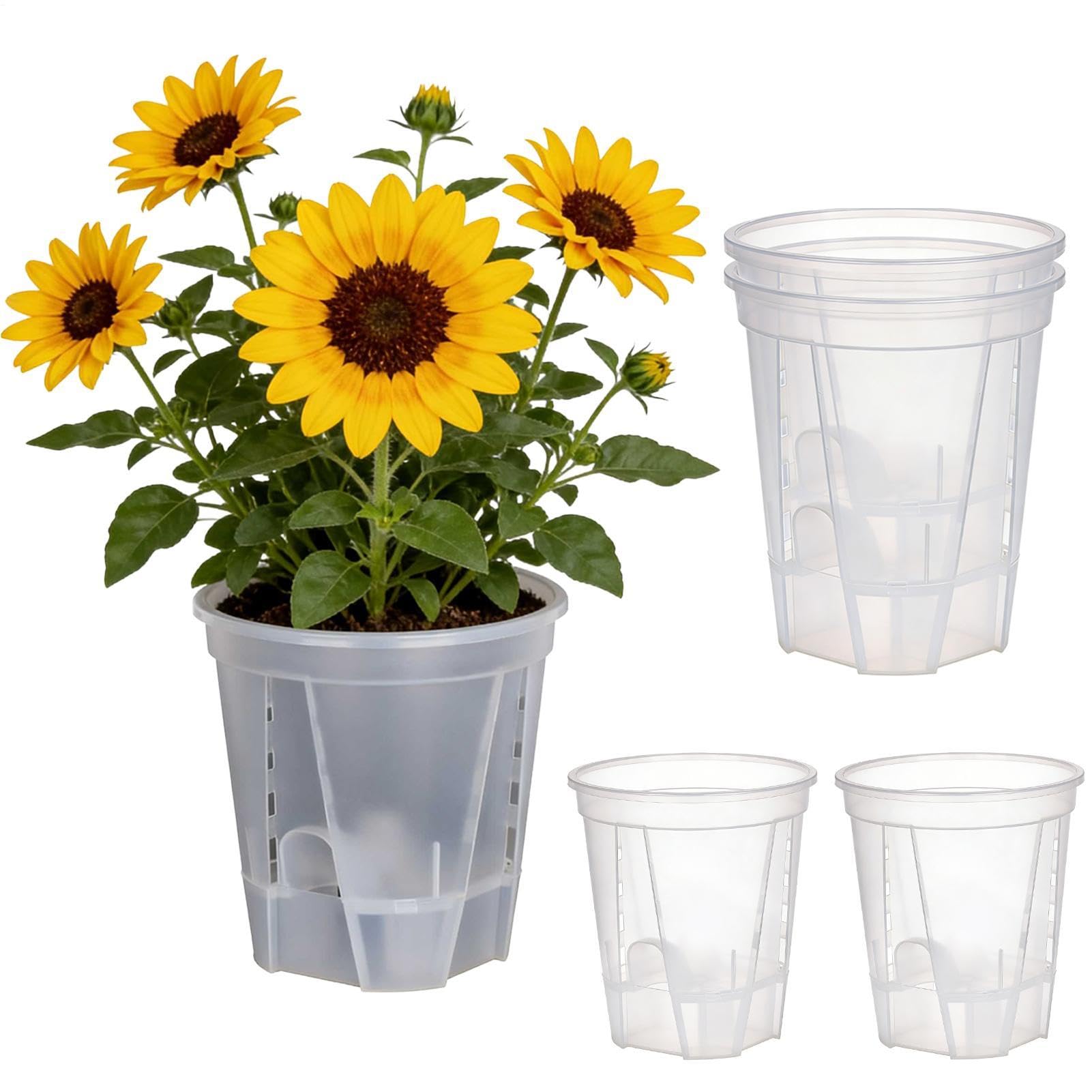 Lot de 5 pots de fleurs à arrosage automatique pour orchidées avec trou de